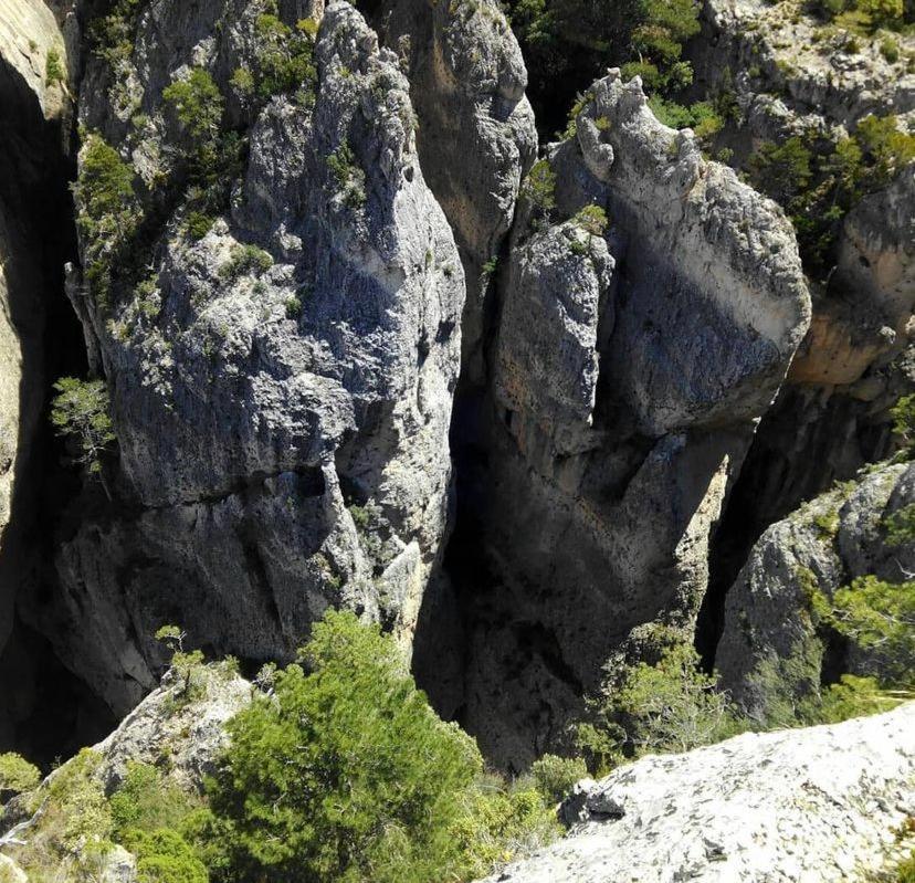 Casa Mar Roquetes Daire Dış mekan fotoğraf